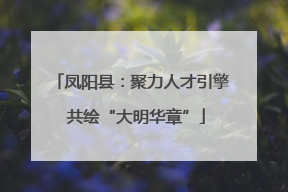 凤阳县：聚力人才引擎 共绘“大明华章”