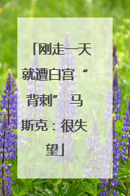 刚走一天就遭白宫“背刺” 马斯克：很失望
