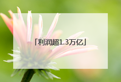 利润超1.3万亿