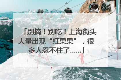 别摘！别吃！上海街头大量出现“红果果”，很多人忍不住了……