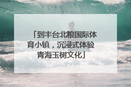 到丰台北粮国际体育小镇，沉浸式体验青海玉树文化