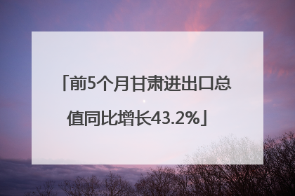 前5个月甘肃进出口总值同比增长43.2%