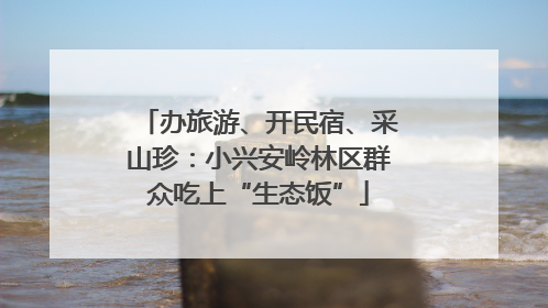 办旅游、开民宿、采山珍：小兴安岭林区群众吃上“生态饭”