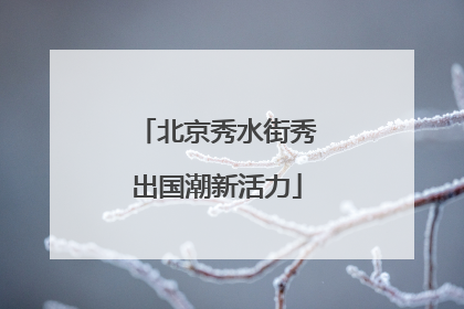 北京秀水街秀出国潮新活力