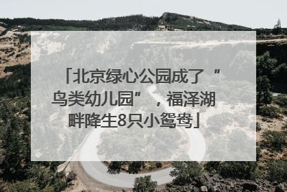 北京绿心公园成了“鸟类幼儿园”，福泽湖畔降生8只小鸳鸯