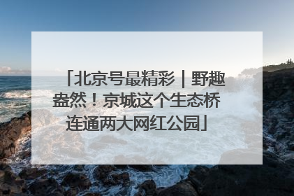 北京号最精彩｜野趣盎然！京城这个生态桥连通两大网红公园