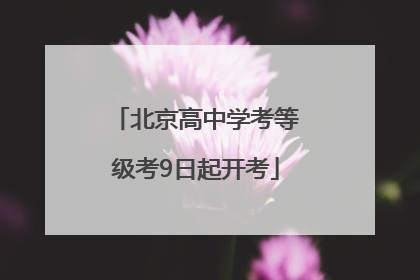 北京高中学考等级考9日起开考