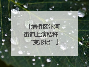 埇桥区汴河街道上演秸秆“变形记”