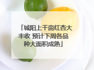 城阳上千亩红杏大丰收 预计下周各品种大面积成熟
