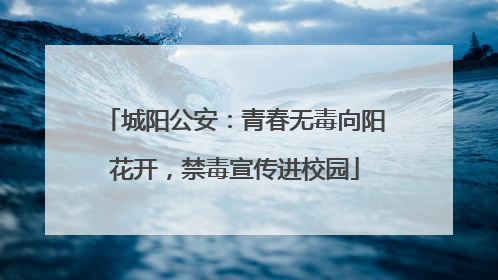 城阳公安：青春无毒向阳花开，禁毒宣传进校园