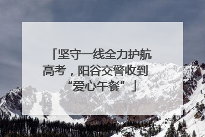 坚守一线全力护航高考，阳谷交警收到“爱心午餐”