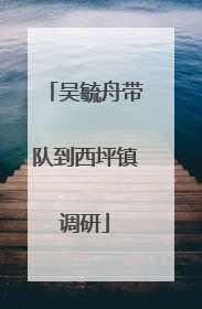 吴毓舟带队到西坪镇调研
