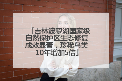 吉林波罗湖国家级自然保护区生态修复成效显著，珍稀鸟类10年增加5倍