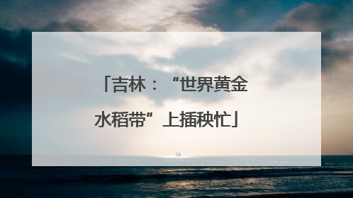 吉林：“世界黄金水稻带”上插秧忙