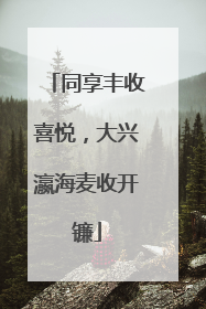 同享丰收喜悦，大兴瀛海麦收开镰