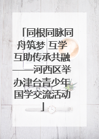 同根同脉同舟筑梦 互学互助传承共融——河西区举办津台青少年国学交流活动