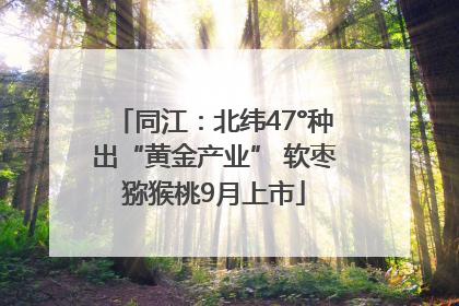 同江：北纬47°种出“黄金产业” 软枣猕猴桃9月上市