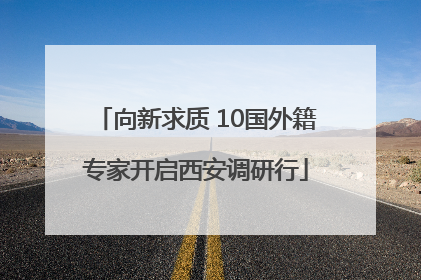 向新求质 10国外籍专家开启西安调研行