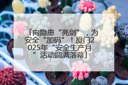 向隐患“亮剑”，为安全“加码”！厦门2025年“安全生产月”活动圆满落幕