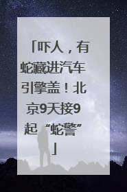 吓人，有蛇藏进汽车引擎盖！北京9天接9起“蛇警”