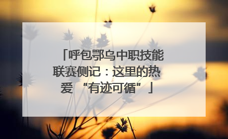 呼包鄂乌中职技能联赛侧记：这里的热爱 “有迹可循”