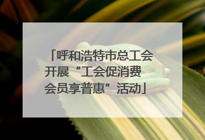 呼和浩特市总工会开展“工会促消费 会员享普惠”活动