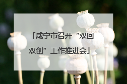 咸宁市召开“双回双创”工作推进会
