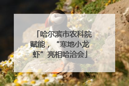 哈尔滨市农科院赋能，“寒地小龙虾”亮相哈洽会