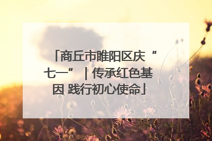 商丘市睢阳区庆“七一”｜传承红色基因 践行初心使命