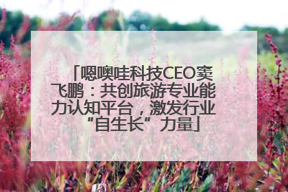 嗯噢哇科技CEO窦飞鹏：共创旅游专业能力认知平台，激发行业“自生长”力量