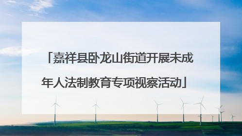 嘉祥县卧龙山街道开展未成年人法制教育专项视察活动