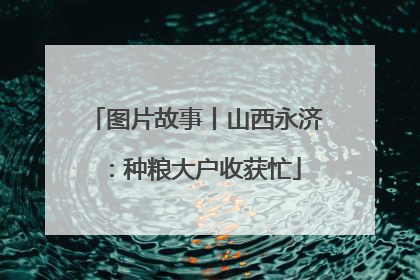 图片故事丨山西永济：种粮大户收获忙