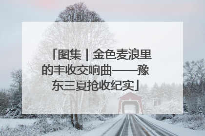 图集｜金色麦浪里的丰收交响曲——豫东三夏抢收纪实