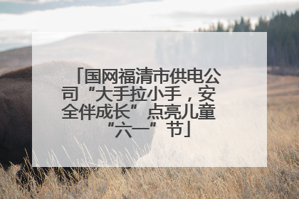 国网福清市供电公司“大手拉小手，安全伴成长”点亮儿童“六一”节