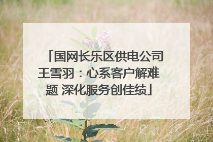 国网长乐区供电公司王雪羽：心系客户解难题 深化服务创佳绩