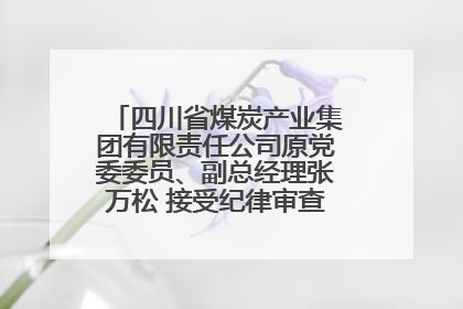 四川省煤炭产业集团有限责任公司原党委委员、副总经理张万松 接受纪律审查和监察调查