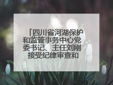 四川省河湖保护和监管事务中心党委书记、主任刘刚 接受纪律审查和监察调查