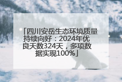 四川安岳生态环境质量持续向好：2024年优良天数324天，多项数据实现100%