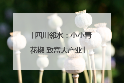 四川邻水：小小青花椒 致富大产业