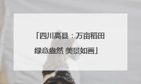 四川高县：万亩稻田绿意盎然 美景如画