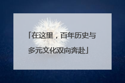 在这里，百年历史与多元文化双向奔赴