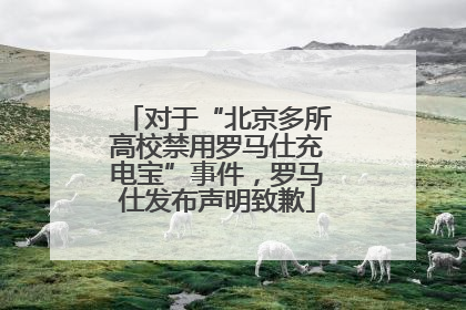 对于“北京多所高校禁用罗马仕充电宝”事件，罗马仕发布声明致歉