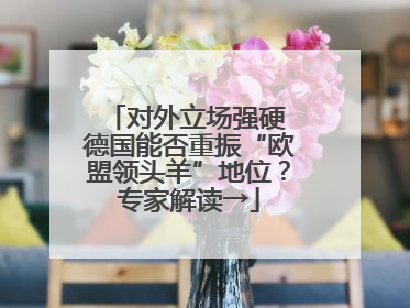 对外立场强硬 德国能否重振“欧盟领头羊”地位？专家解读→
