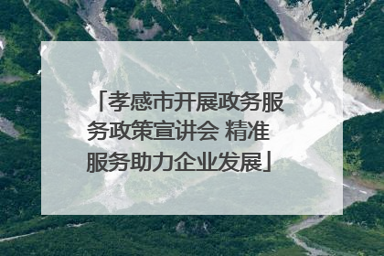 孝感市开展政务服务政策宣讲会 精准服务助力企业发展