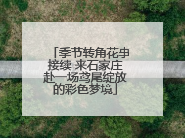 季节转角花事接续 来石家庄赴一场鸢尾绽放的彩色梦境