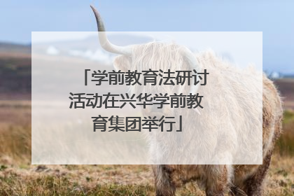 学前教育法研讨活动在兴华学前教育集团举行