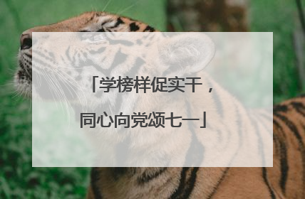 学榜样促实干，同心向党颂七一