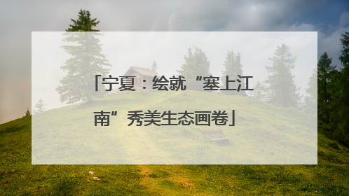 宁夏：绘就“塞上江南”秀美生态画卷