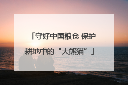 守好中国粮仓 保护耕地中的“大熊猫”