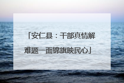 安仁县：干部真情解难题一面锦旗映民心